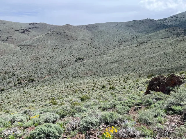 a view of a dry field with mountains in the background