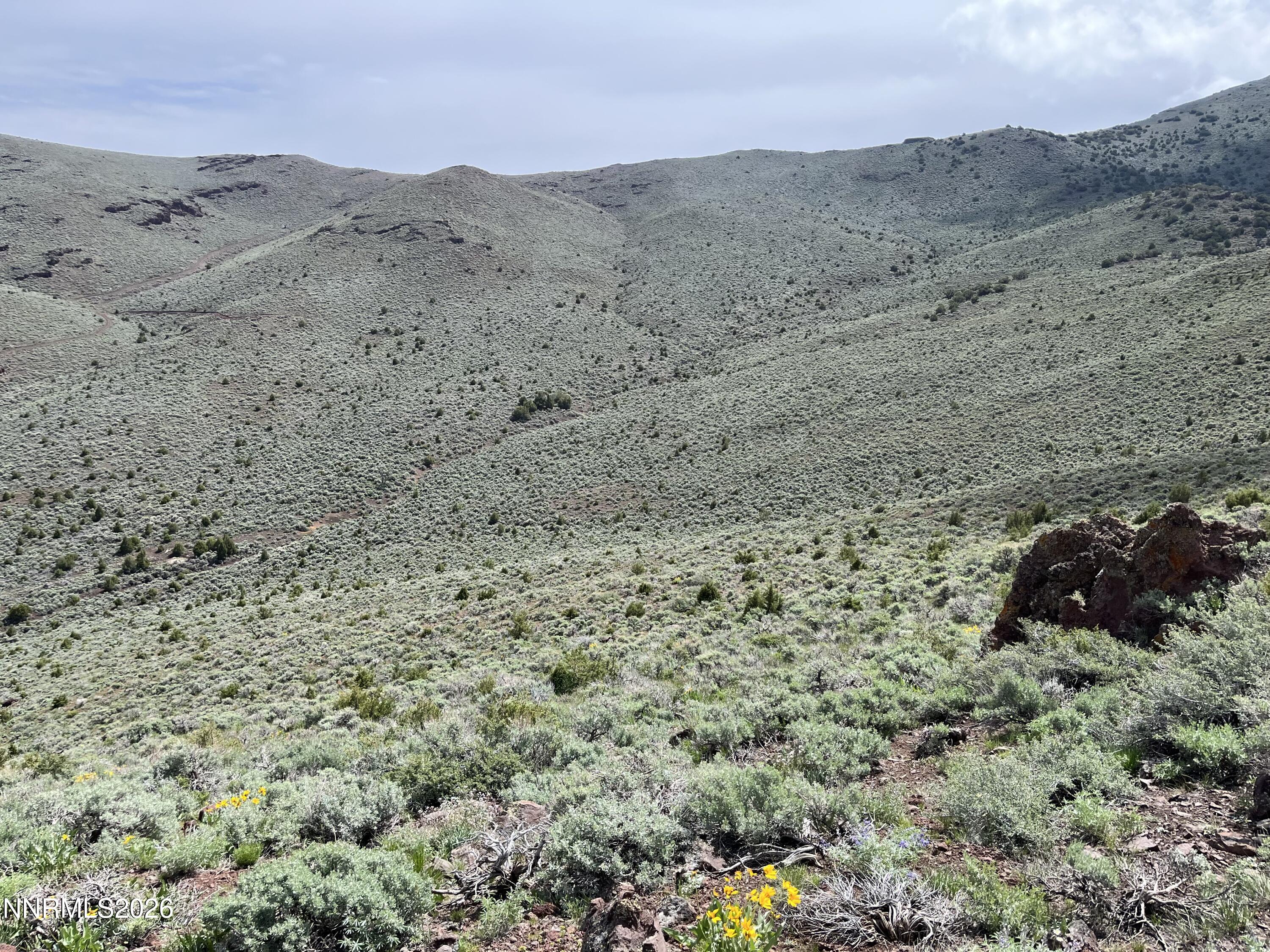a view of a dry field with mountains in the background