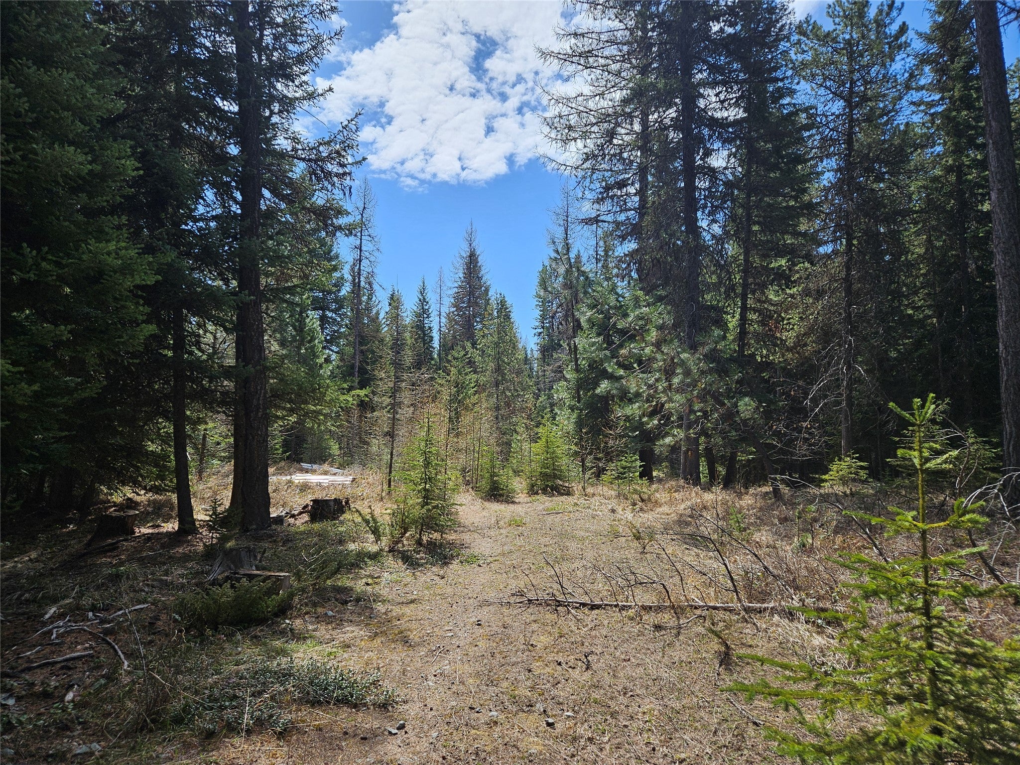 1371 Mountain Meadow Road Kalispell, MT 59901 - Photo 1 of 1 Gallery Image 1