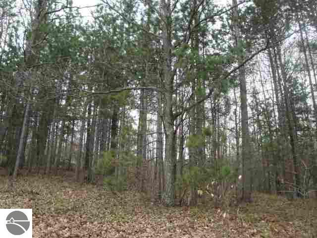 6988 Squaw Lake Road Kalkaska, MI 49646 - Photo 17 of 23 1781956-16.JPG