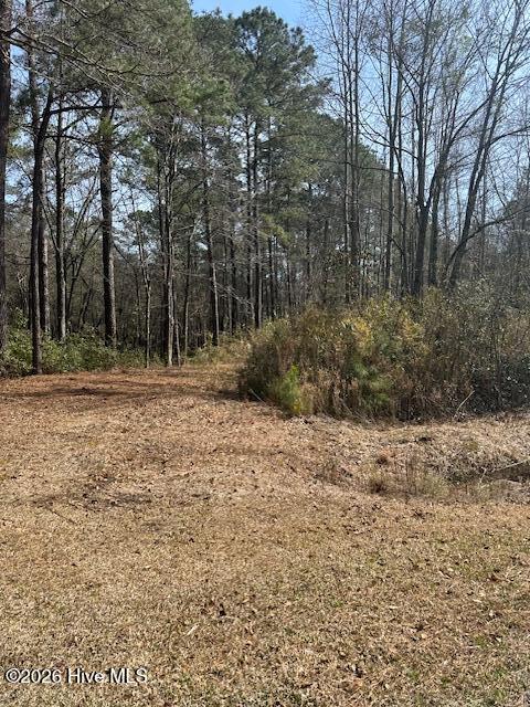 1602 Paul Barnes Road Chadbourn, NC 28431 - Photo 5 of 6 IMG_8556