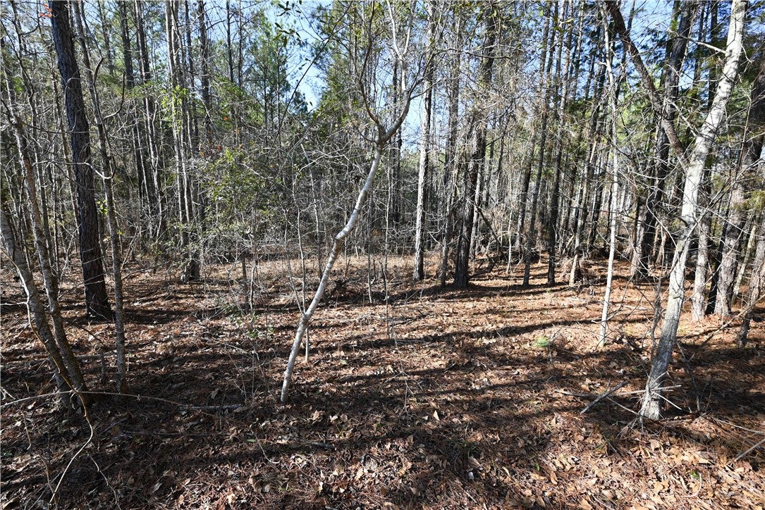 3755 Ridgeline Trail Auburn, AL 36830 - Photo 3 of 38 Gallery Image 3