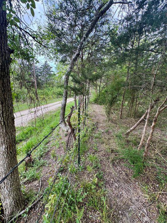0 Cr 1037 Road Greenville, TX 75401 - Photo 12 of 20 a view of yard
