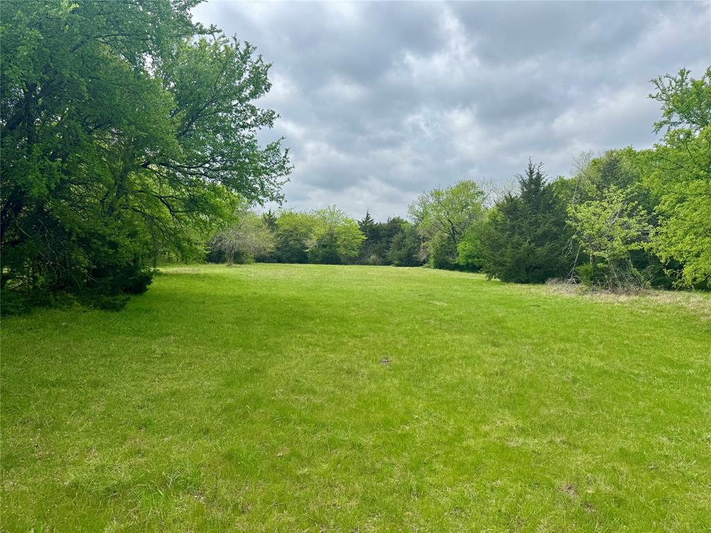 0 Cr 1037 Road Greenville, TX 75401 - Photo 7 of 20 a view of a grassy field with trees in the background