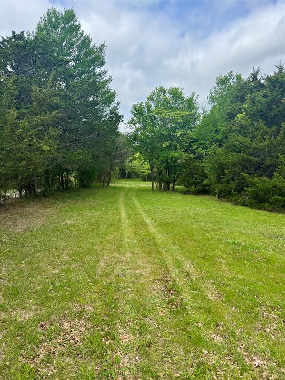 0 Cr 1037 Road Greenville, TX 75401 - Photo 9 of 20 a view of a green yard