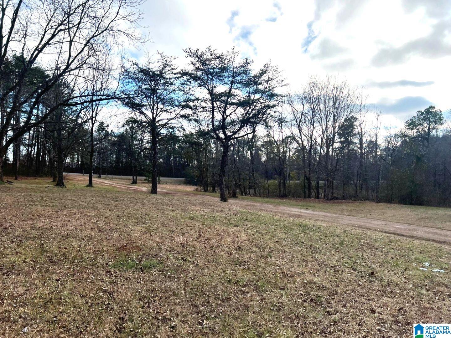 1194 Mountain View Road Ashland, AL 36251 - Photo 37 of 43