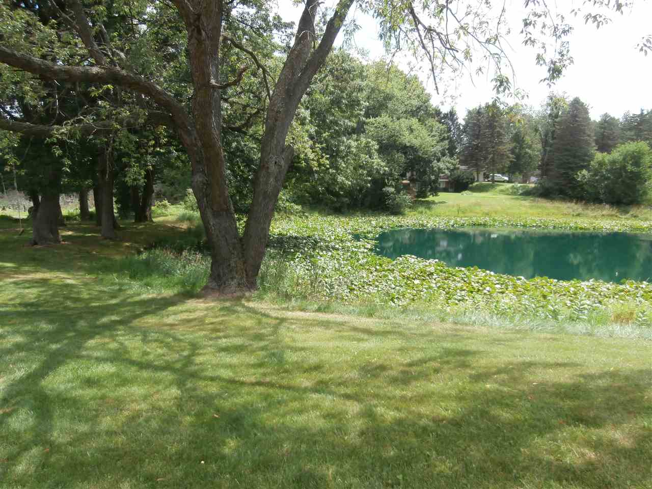 6559 South Delaney Road Owosso, MI 48867 - Photo 7 of 31 31325629-6.JPG