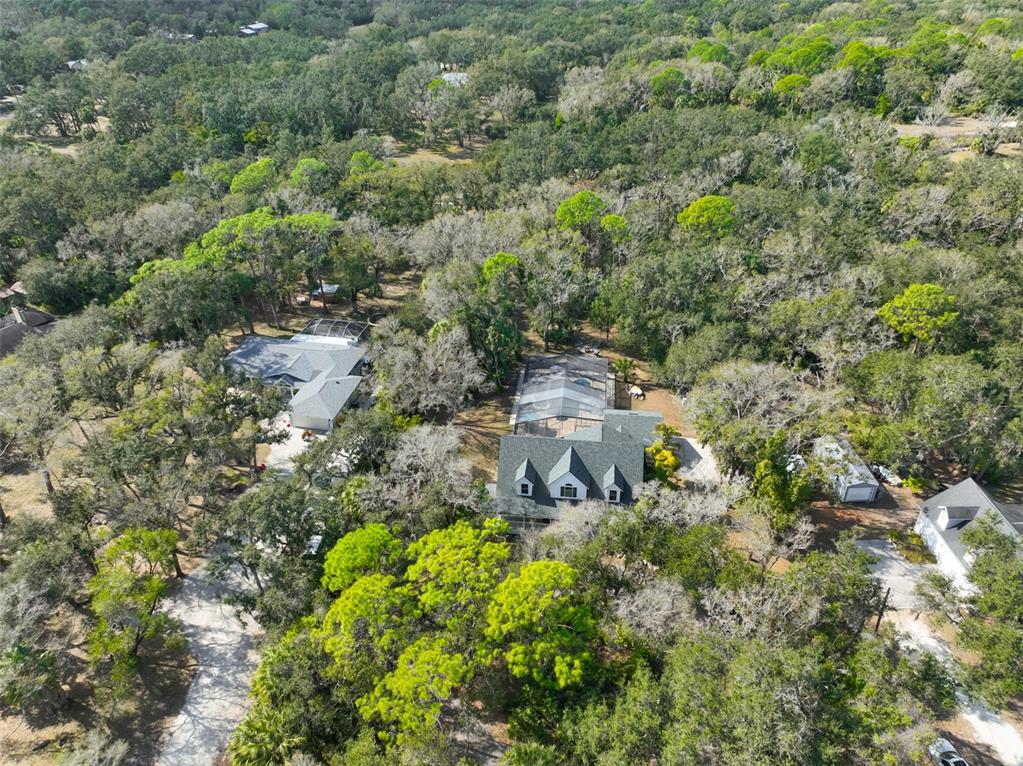 3301 Timberlee Road Wimauma, FL 33598 - Photo 3 of 92