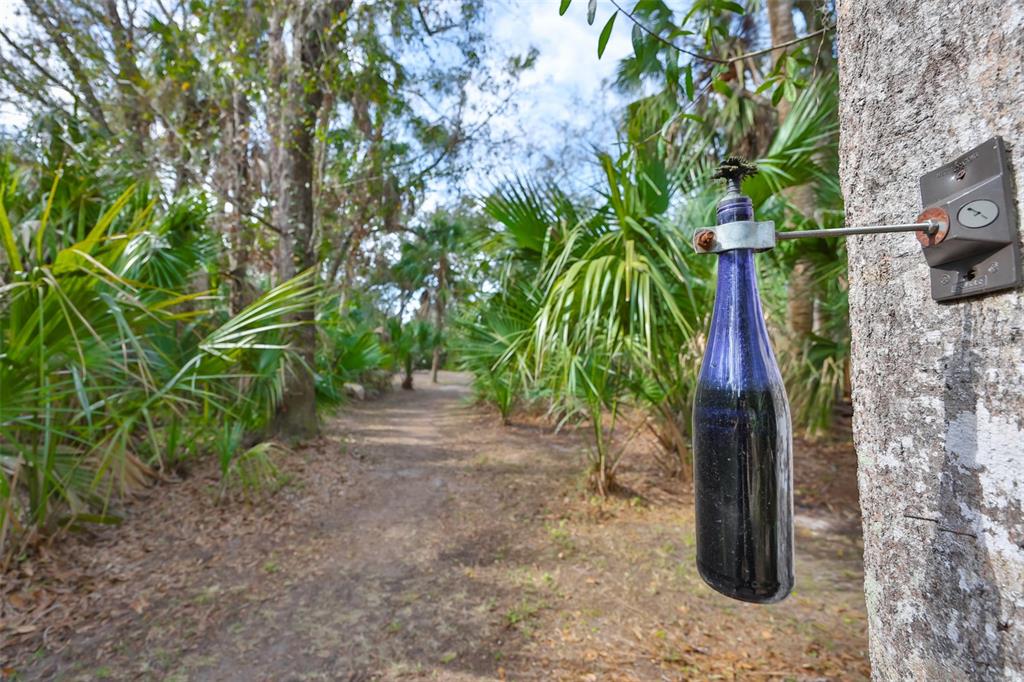 3301 Timberlee Road Wimauma, FL 33598 - Photo 68 of 92