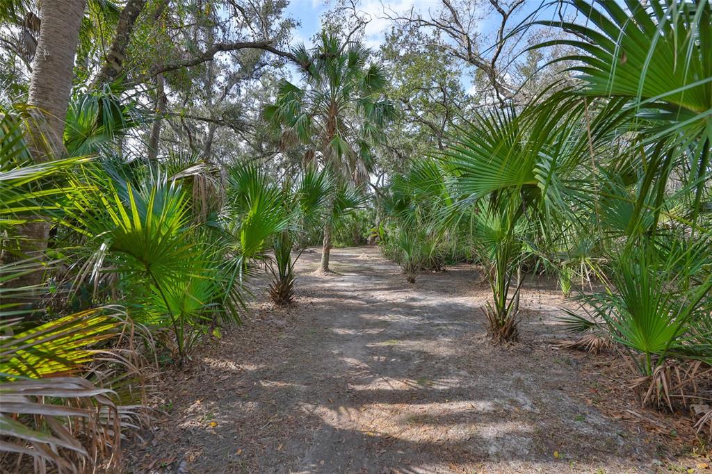 3301 Timberlee Road Wimauma, FL 33598 - Photo 70 of 92