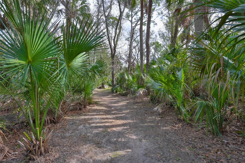 3301 Timberlee Road Wimauma, FL 33598 - Photo 71 of 92