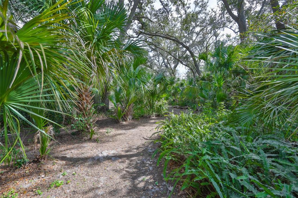 3301 Timberlee Road Wimauma, FL 33598 - Photo 75 of 92