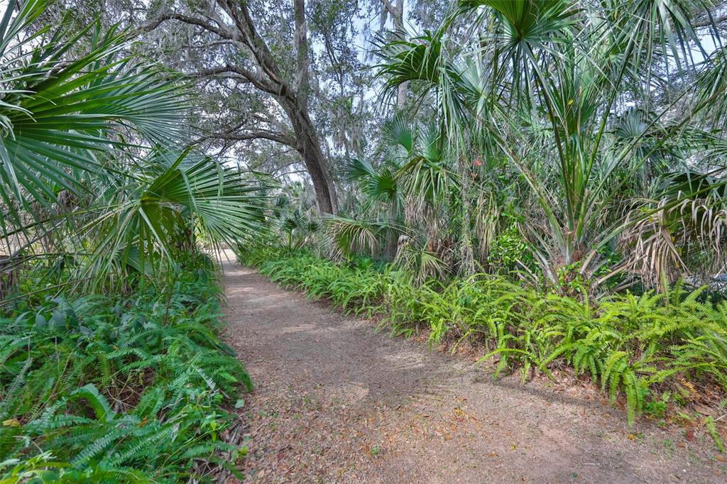 3301 Timberlee Road Wimauma, FL 33598 - Photo 81 of 92