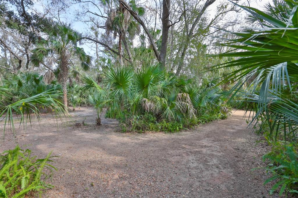 3301 Timberlee Road Wimauma, FL 33598 - Photo 82 of 92