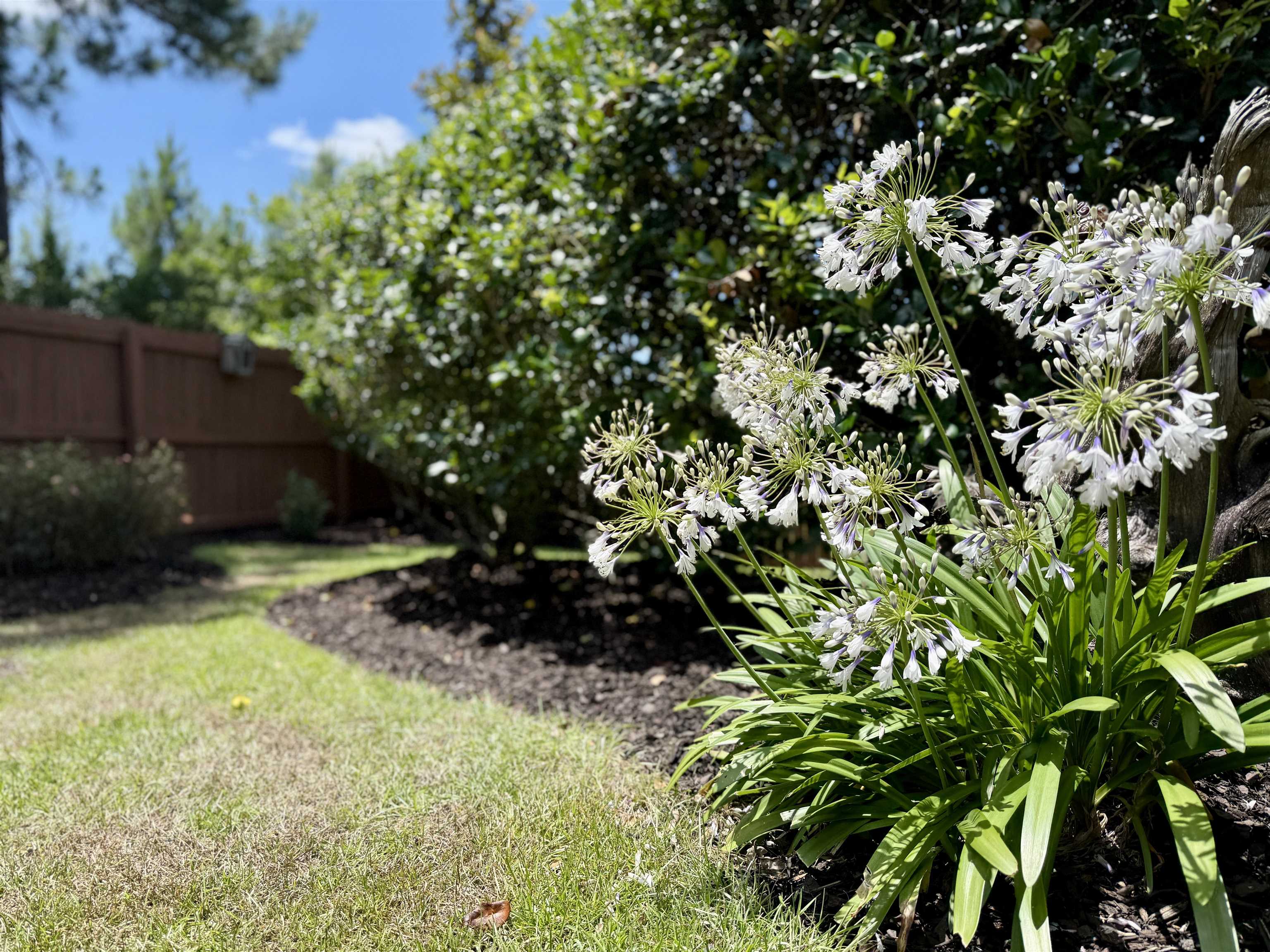 31610 Spoonbill Road Daphne, AL 36527 - Photo 83 of 97