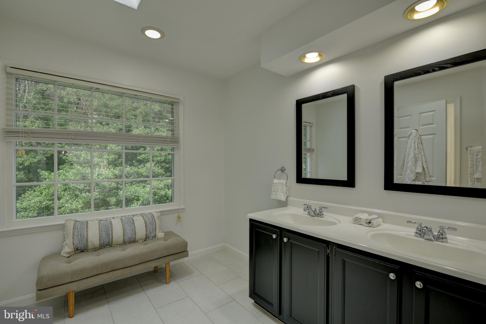 11600 Springhouse Place Reston, VA 20194 - Photo 15 of 28 Primary Bathroom w/Skylight, Dual Sink Vanity.