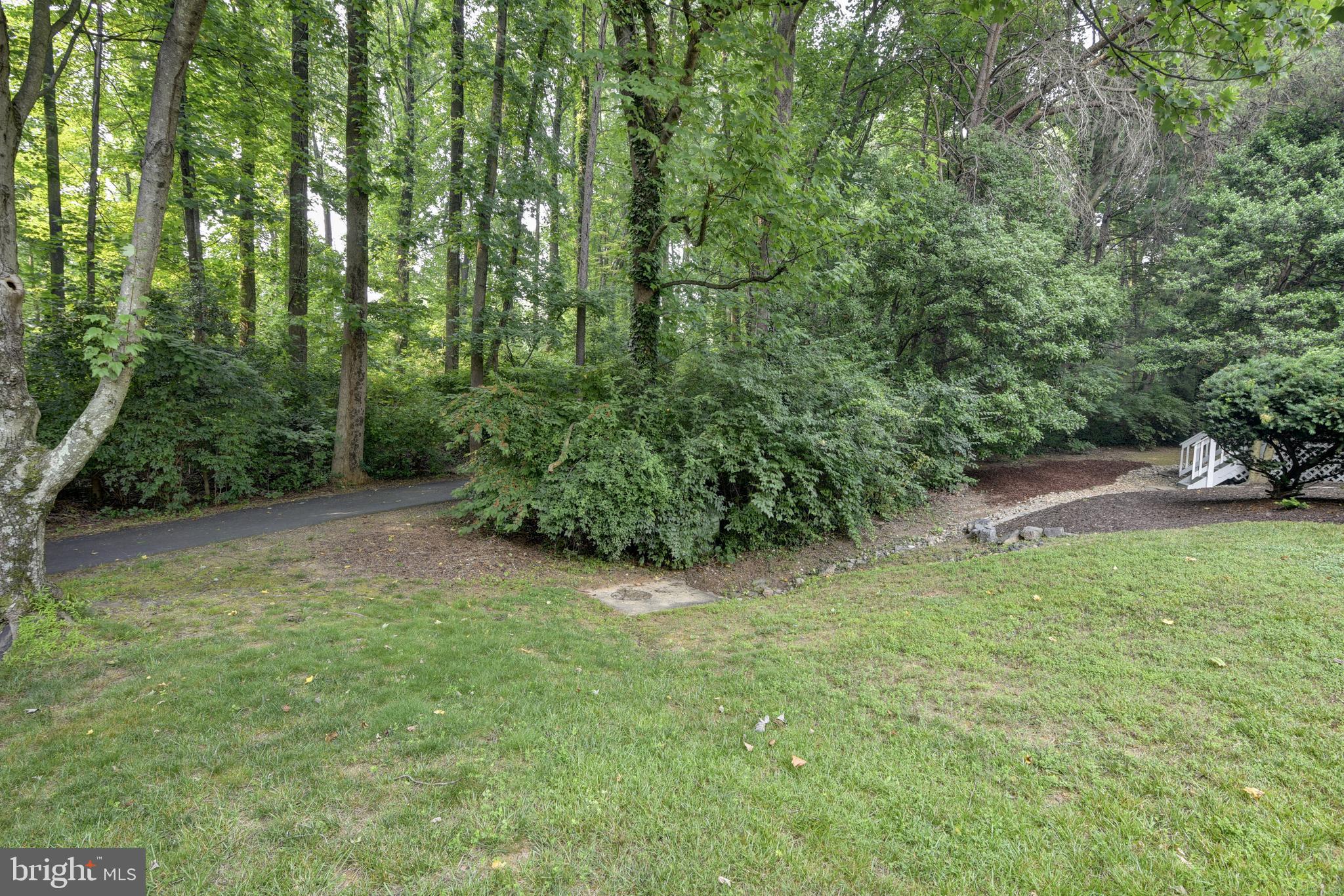 11600 Springhouse Place Reston, VA 20194 - Photo 23 of 28 Backing to Wooded Parkland.
