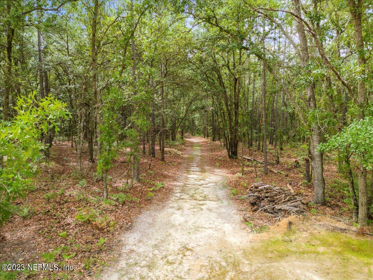 13535 Settindown Drive Bryceville, FL 32009 - Photo 50 of 59 a view of outdoor space with deck and tree