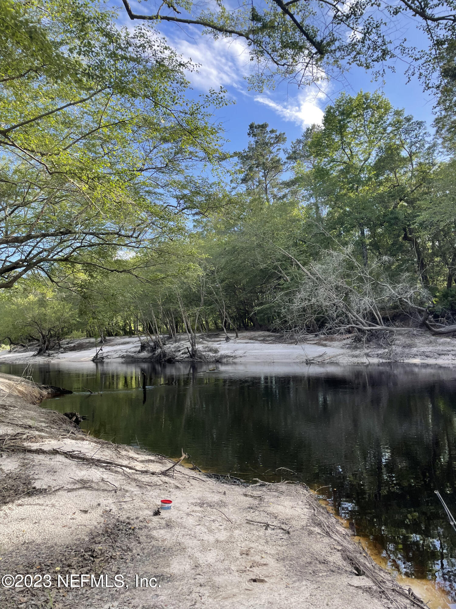 13535 Settindown Drive Bryceville, FL 32009 - Photo 57 of 59 a view of a lake from a yard