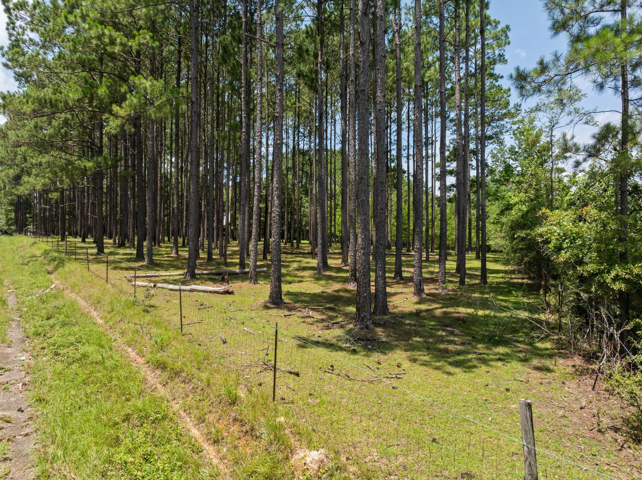 641 Lookout Tower Road Purvis, MS 39475 - Photo 2 of 62 Gallery Image 2