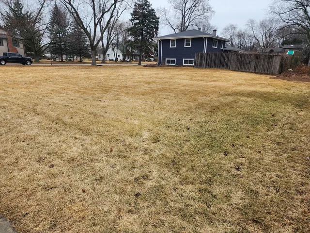 a view of swimming pool with tree in front of it