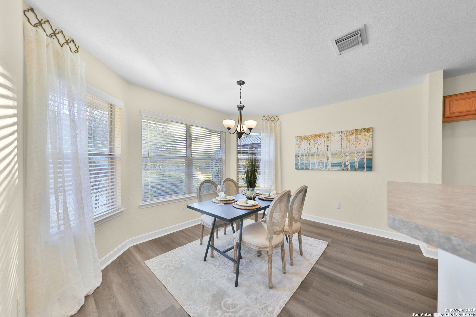 9618 Geronimo Path San Antonio, TX 78254 - Photo 17 of 57