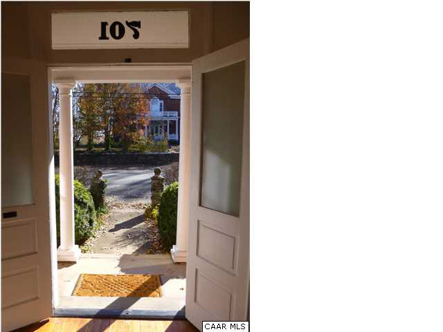 701 Ridge Street Charlottesville, VA 22902 - Photo 45 of 48 a picture of a small yard