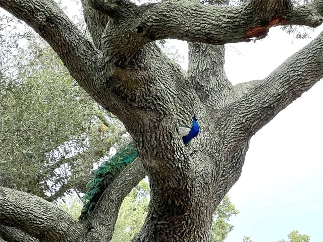 a bird view of location
