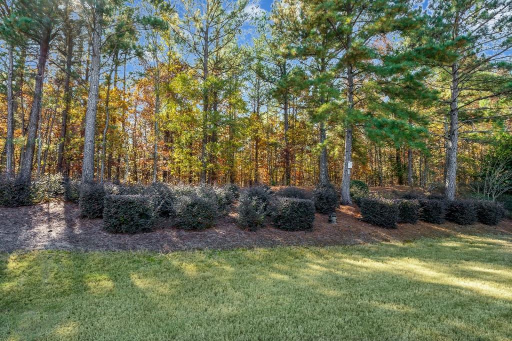 1081 Spring Station Road Greensboro, GA 30642 - Photo 35 of 35 a view of backyard with green space