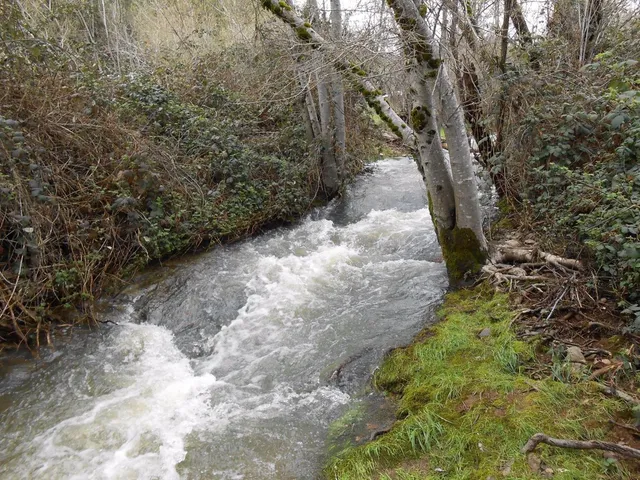 $575,000 | 7040 Goferbroke Road, Georgetown, CA 95634