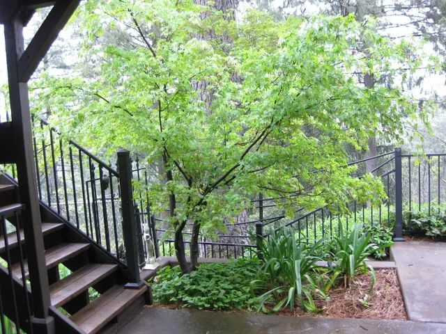 $575,000 | 7040 Goferbroke Road, Georgetown, CA 95634