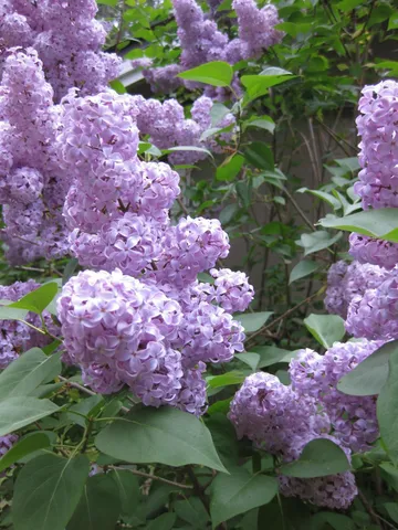 $575,000 | 7040 Goferbroke Road, Georgetown, CA 95634