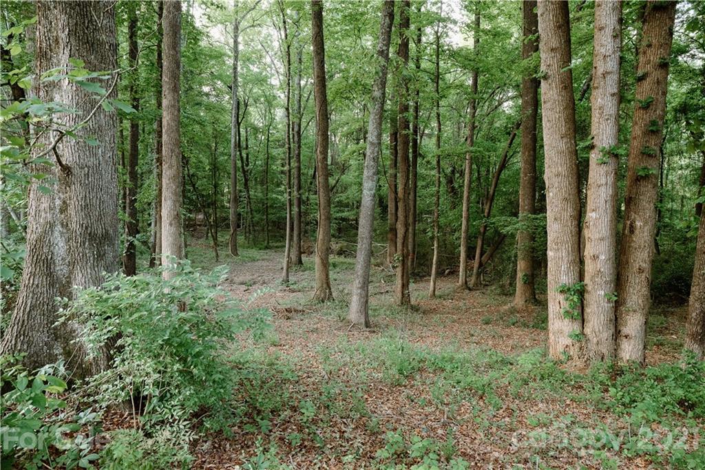 2900 Williams Road Matthews, NC 28105 - Photo 46 of 47 Gallery Image 46