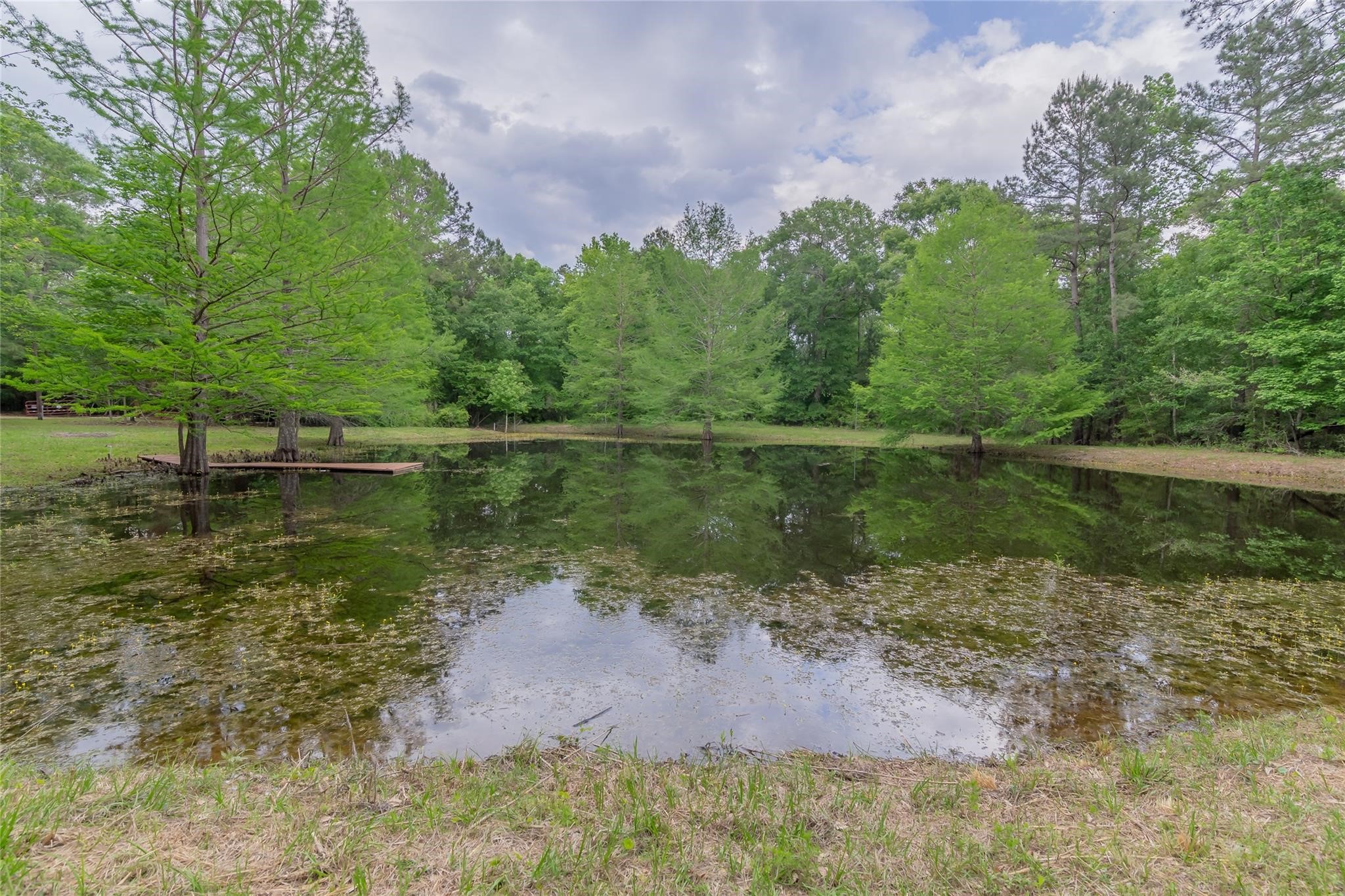 14701 Cedar Ln Loop Willis, TX 77378 - Photo 39 of 48