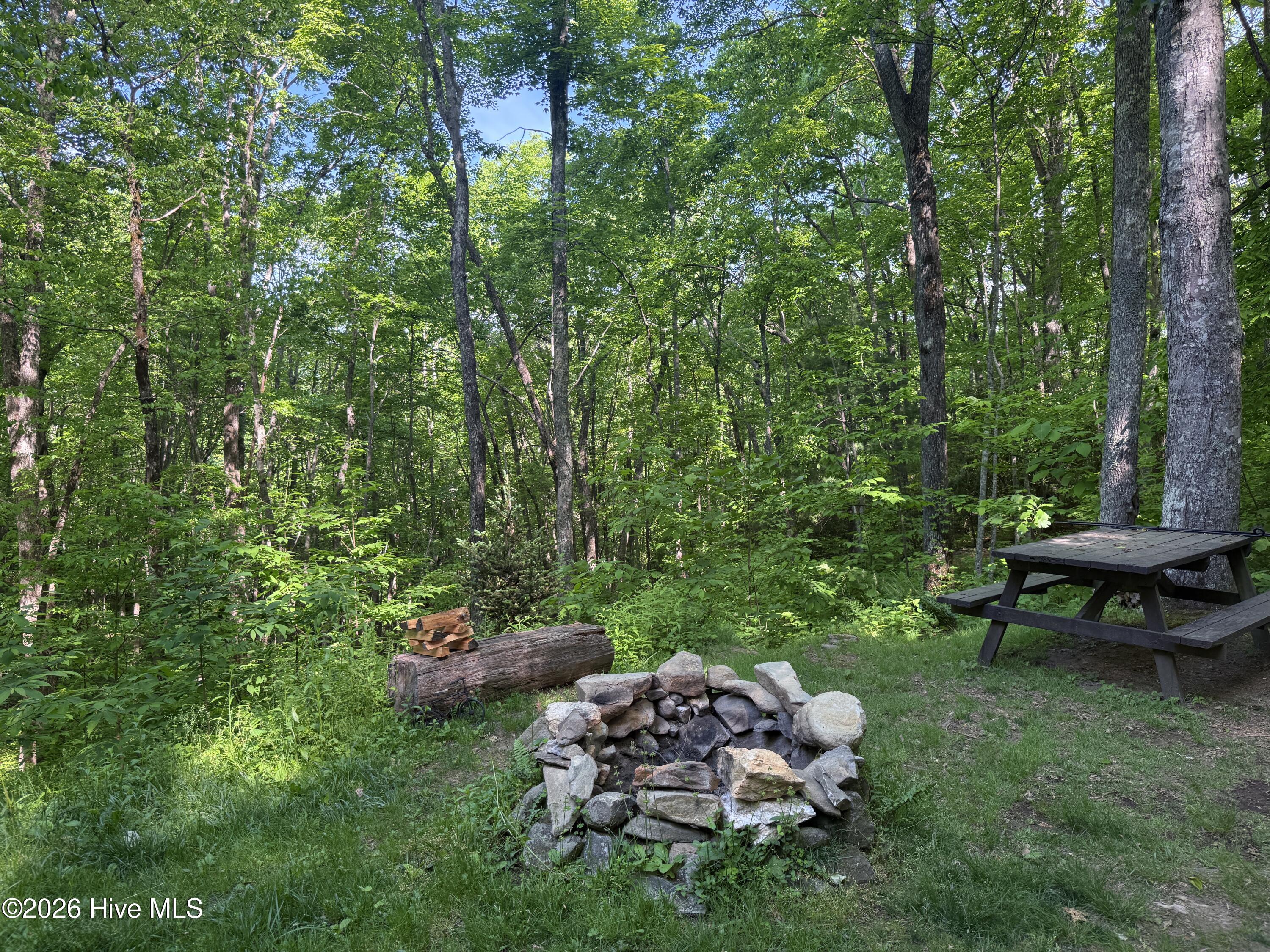 1096 Mt Tabor Road Topton, NC 28781 - Photo 42 of 46