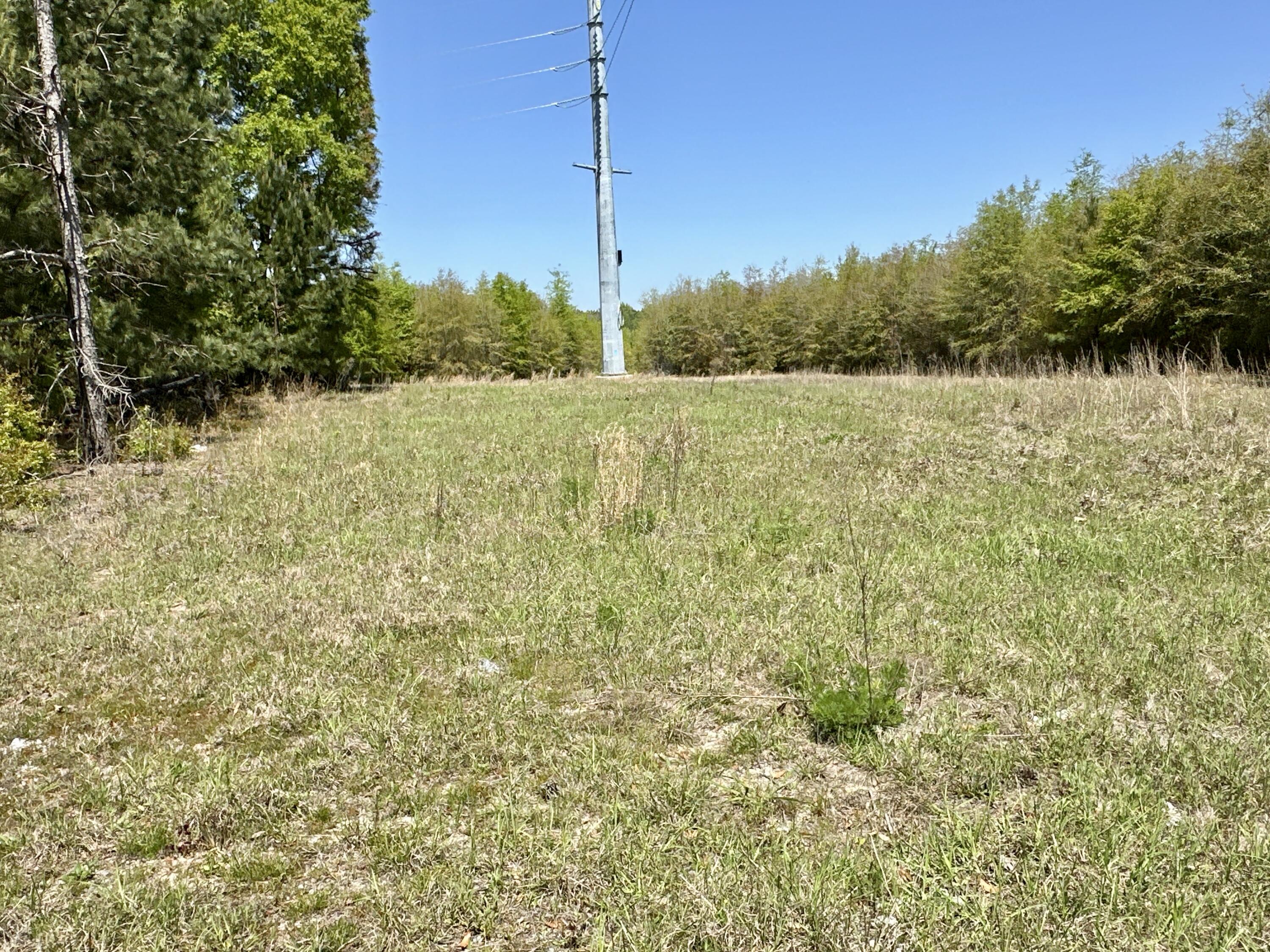 3021 Salley Road Salley, SC 29137 - Photo 46 of 73
