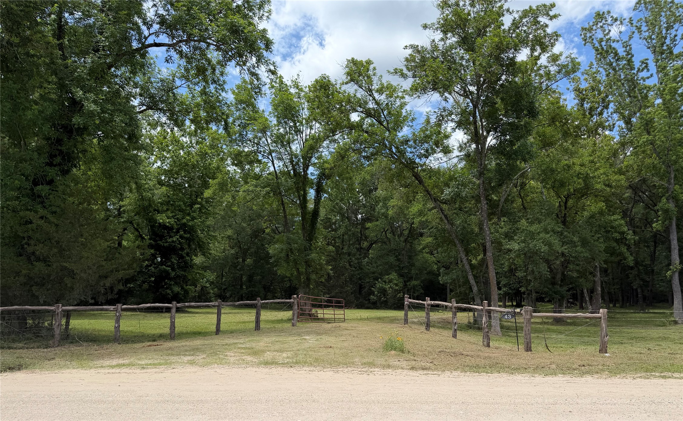43 Stewart Road New Waverly, TX 77358 - Photo 19 of 21