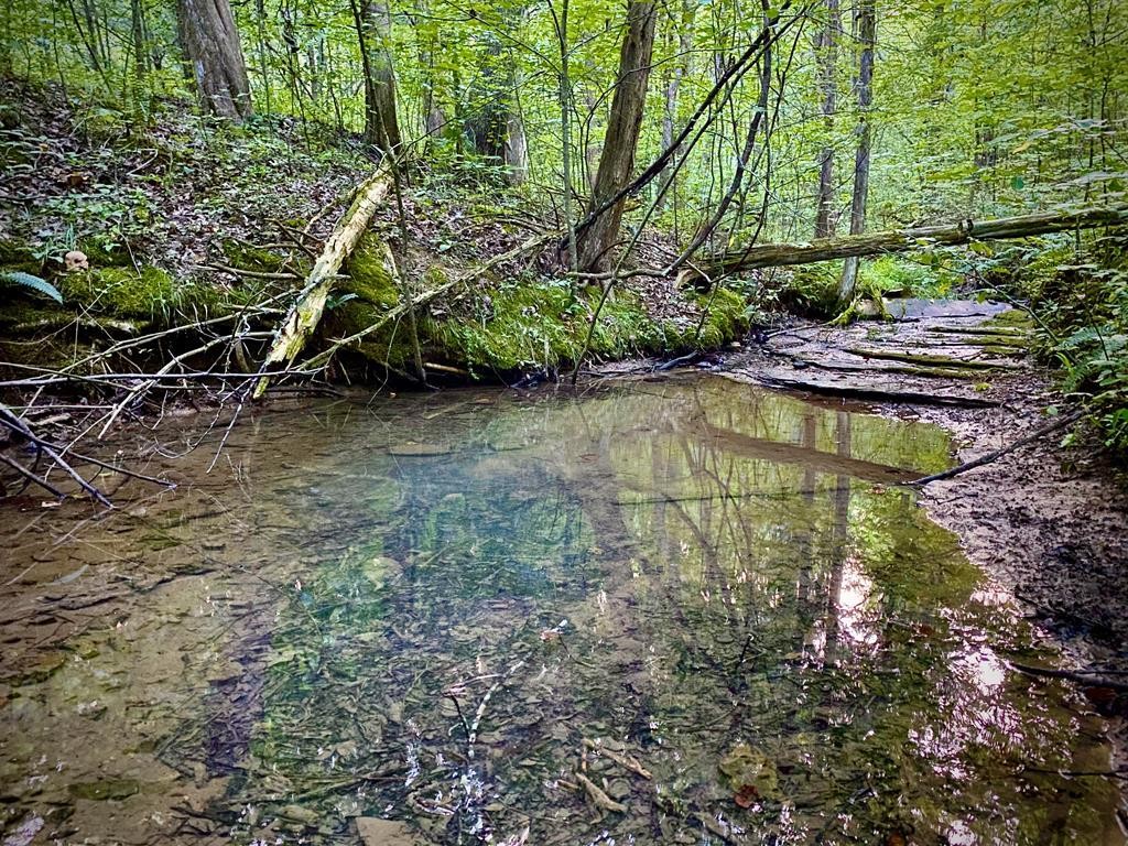 0 Garrett Mill Road Livingston, TN 38570 - Photo 1 of 21 Gallery Image 1