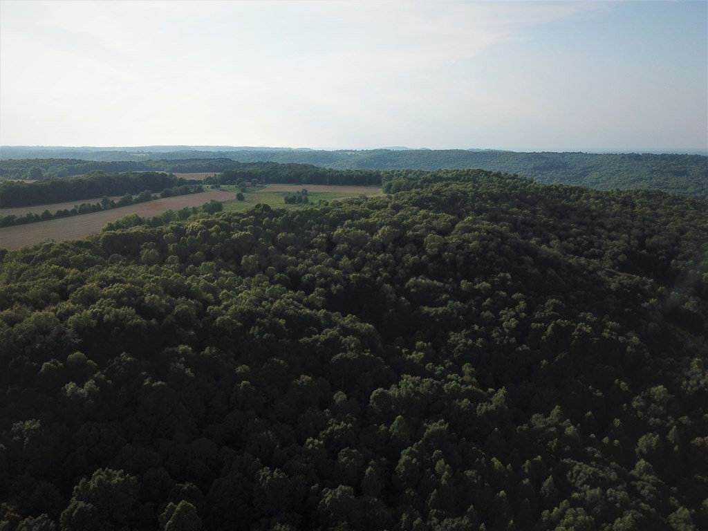 0 Garrett Mill Road Livingston, TN 38570 - Photo 11 of 21 Gallery Image 11