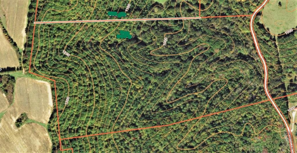 0 Garrett Mill Road Livingston, TN 38570 - Photo 3 of 21 Gallery Image 3