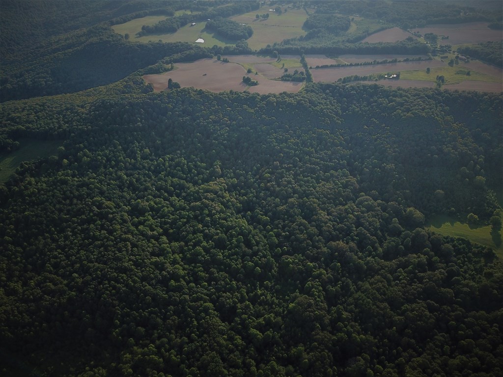 0 Garrett Mill Road Livingston, TN 38570 - Photo 7 of 21 Gallery Image 7