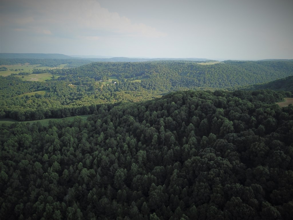 0 Garrett Mill Road Livingston, TN 38570 - Photo 8 of 21 Gallery Image 8
