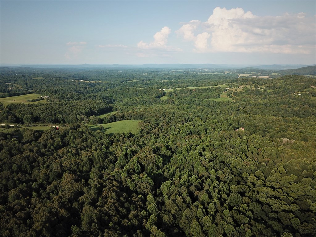 0 Garrett Mill Road Livingston, TN 38570 - Photo 9 of 21 Gallery Image 9