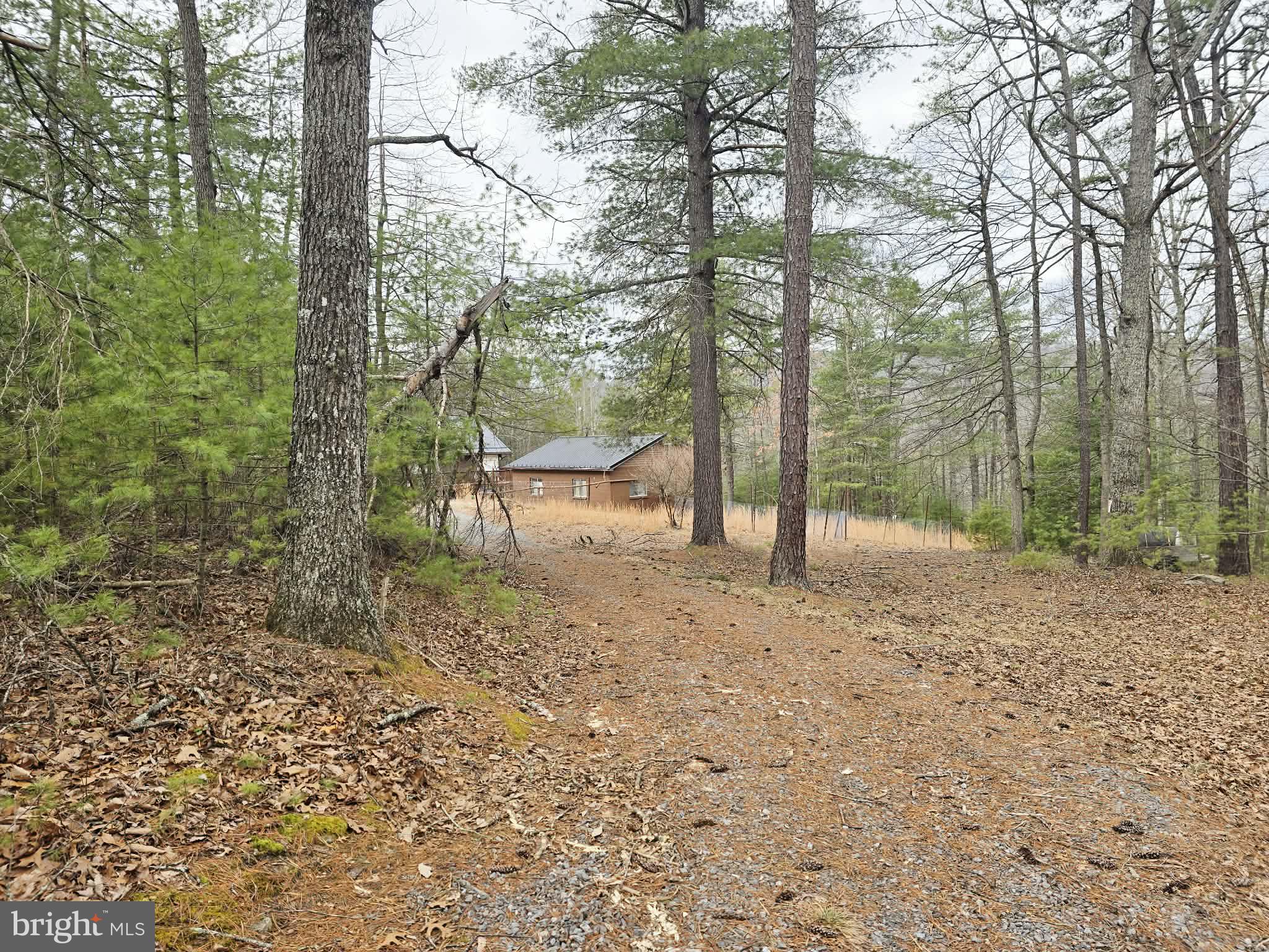 1120 Sandy Ridge Road Sugar Grove, WV 26815 - Photo 13 of 53 a view of outdoor space with trees