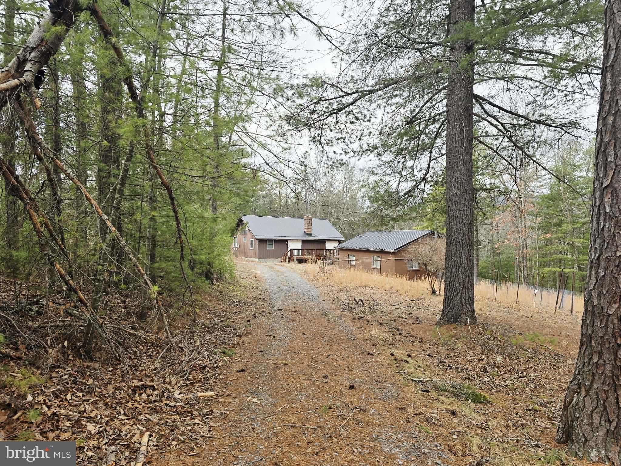 1120 Sandy Ridge Road Sugar Grove, WV 26815 - Photo 33 of 53
