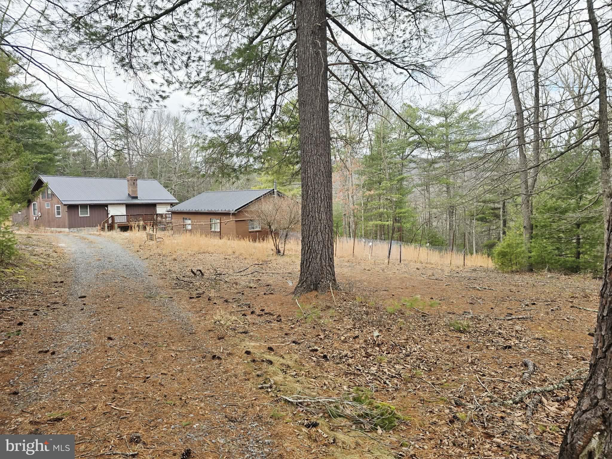 1120 Sandy Ridge Road Sugar Grove, WV 26815 - Photo 34 of 53 a view of a yard with a tree