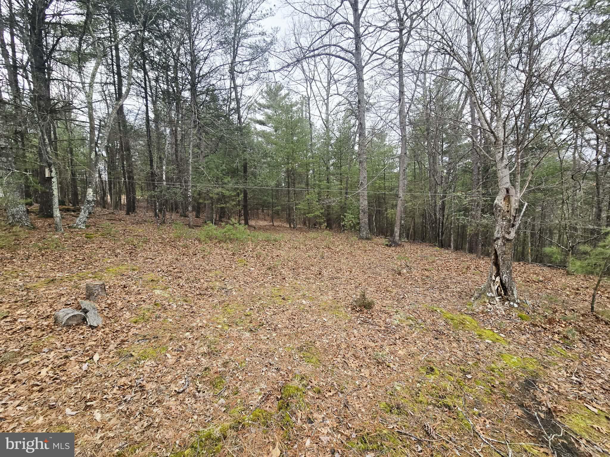 1120 Sandy Ridge Road Sugar Grove, WV 26815 - Photo 49 of 53 a backyard of a house with lots of trees