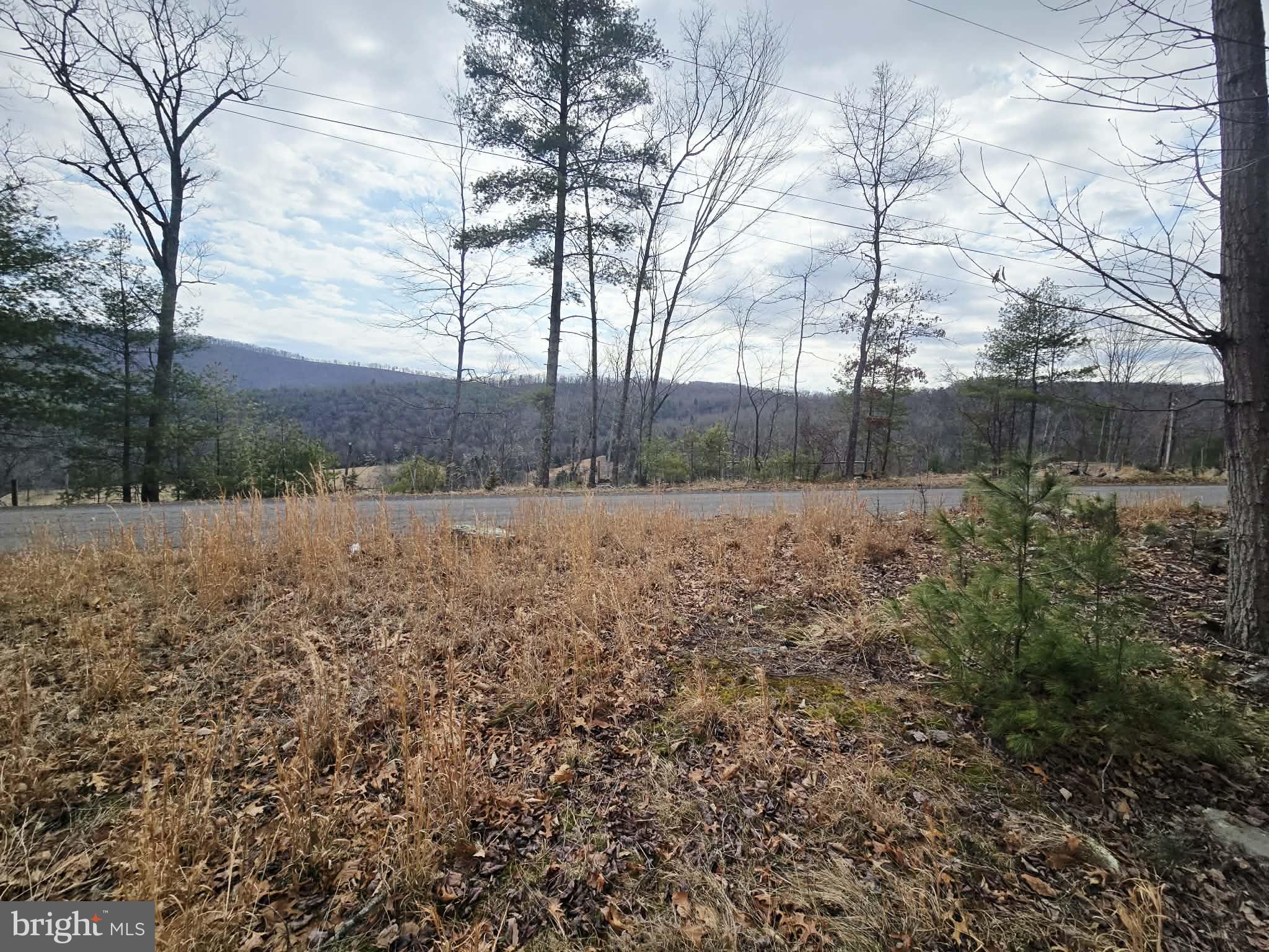1120 Sandy Ridge Road Sugar Grove, WV 26815 - Photo 50 of 53