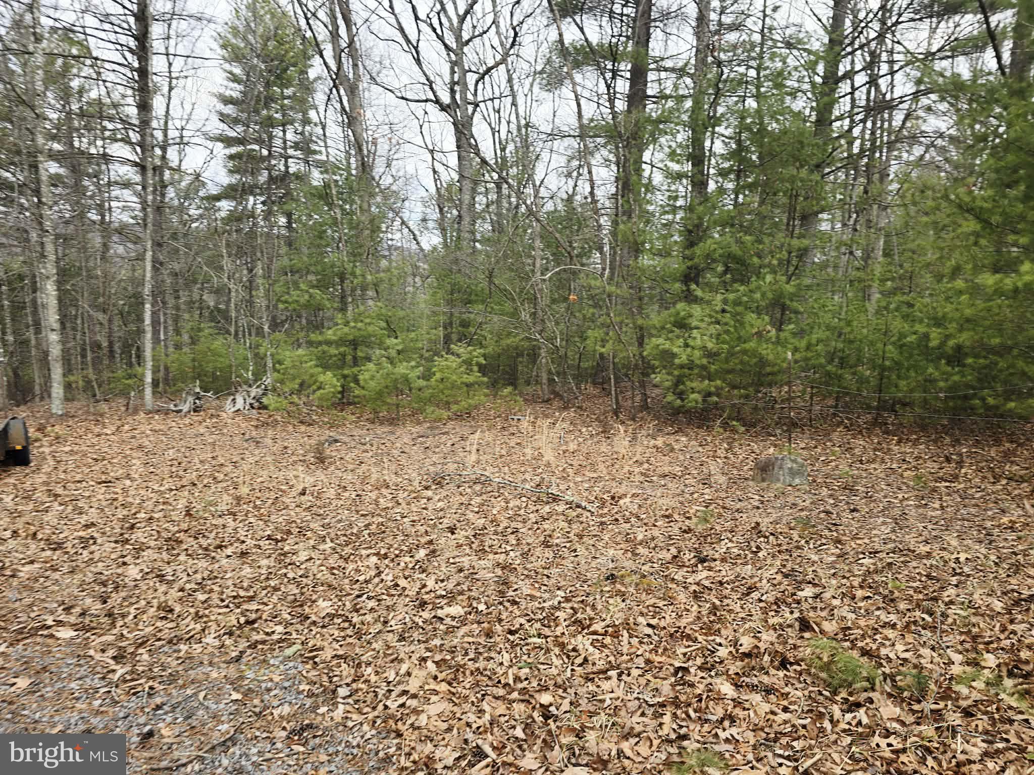 1120 Sandy Ridge Road Sugar Grove, WV 26815 - Photo 53 of 53 a view of outdoor space and green space