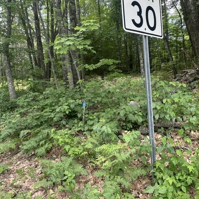 44.1 Lovell Lake Road Sanbornville, NH 03872 - Photo 5 of 13